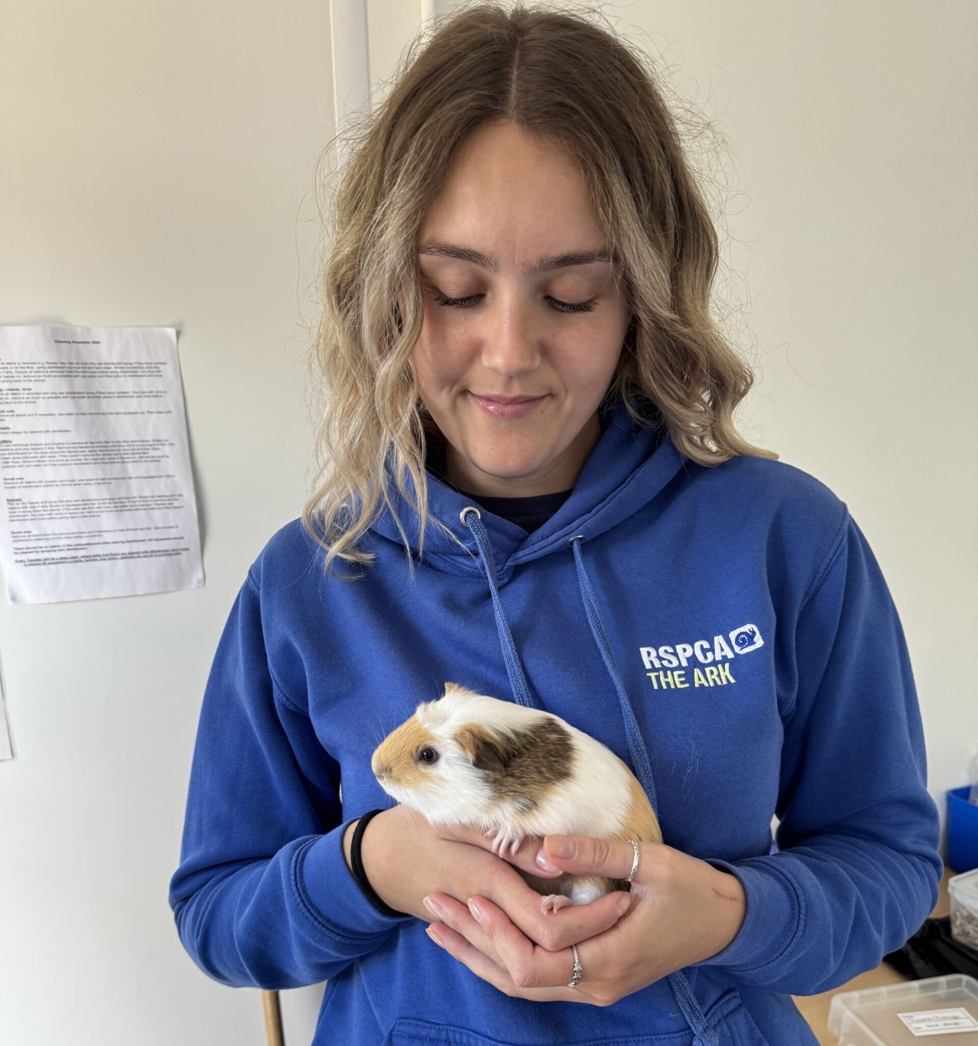 legacy - RSPCA Solent Branch CIO - The Stubbington Ark